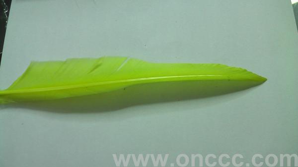 2023 New Factory Direct Sales 2023 New Factory Direct Sales Large Goose Feather Raw Materials
