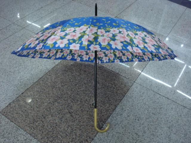 Seding automatic umbrella, direct sales from foreign trade umbrella manufacturer, 55CM16k details Picture
