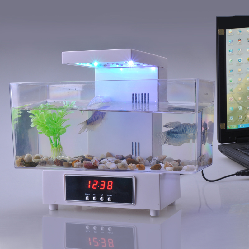 新款迷你鱼缸 水族箱 创意礼品usb迷你鱼缸 生日提醒功能