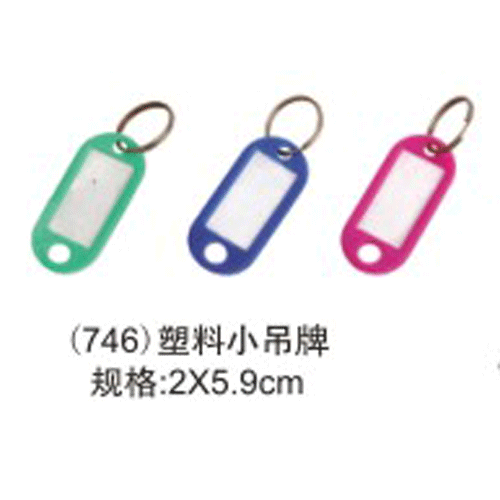 塑料彩色更换式小吊牌钥匙牌