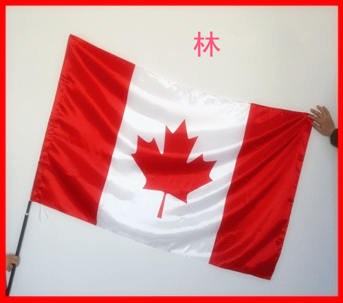 加拿大国旗涤纶布国旗 国旗 世界杯旗子定做 球队旗帜订做图