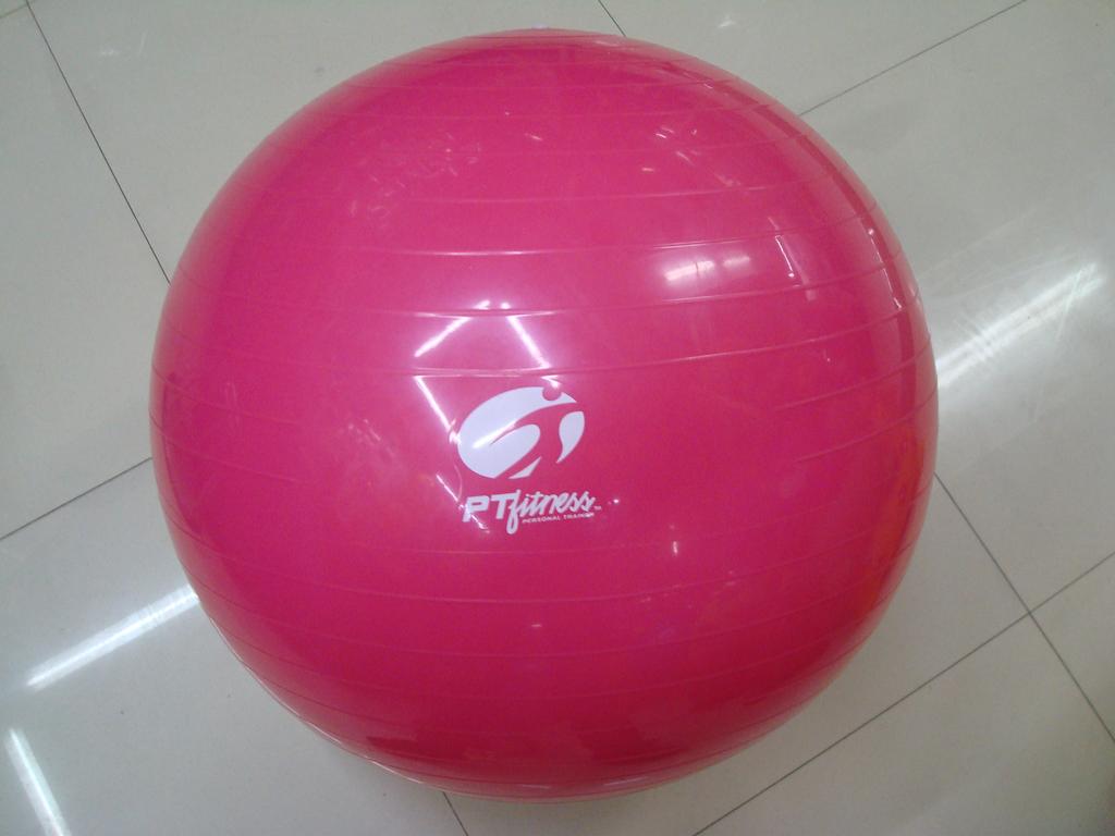 55cm fitness ball/yoga ball/gymnastics ball/dragon ball /PVC ball/big ball