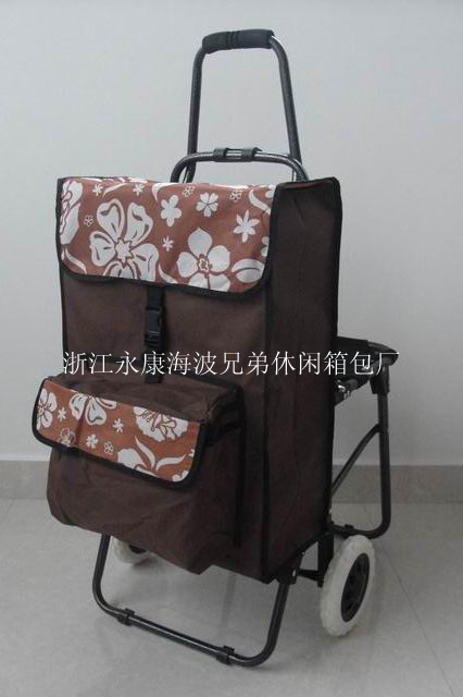 家用购物车实物图