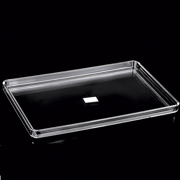 厂家直销果盘茶餐盘托盘 亚克力盘 塑料盘 长方形盘