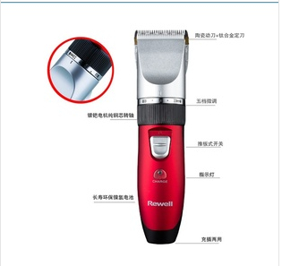 Riwei Ceramic Blade Tip Professional Hair salon silent charging wireless hair clipper Pusher RFCD-902 Dual battery