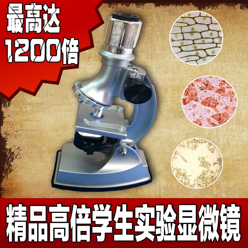 晶辉学生用光学显微镜儿童生物显微镜 教学实验 放大1200倍