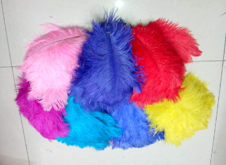 2023新款工厂直销2023新款工厂直销鸵鸟毛羽毛产品图