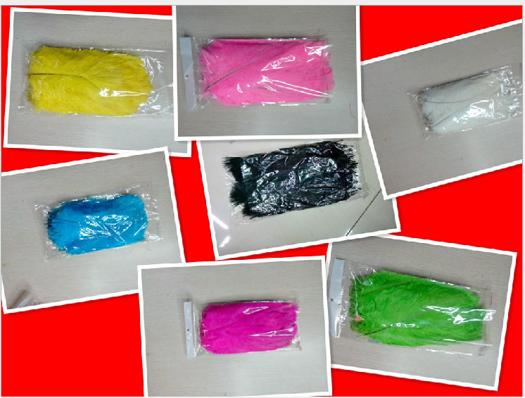 2023新款工厂直销2023新款工厂直销鸵鸟毛羽毛