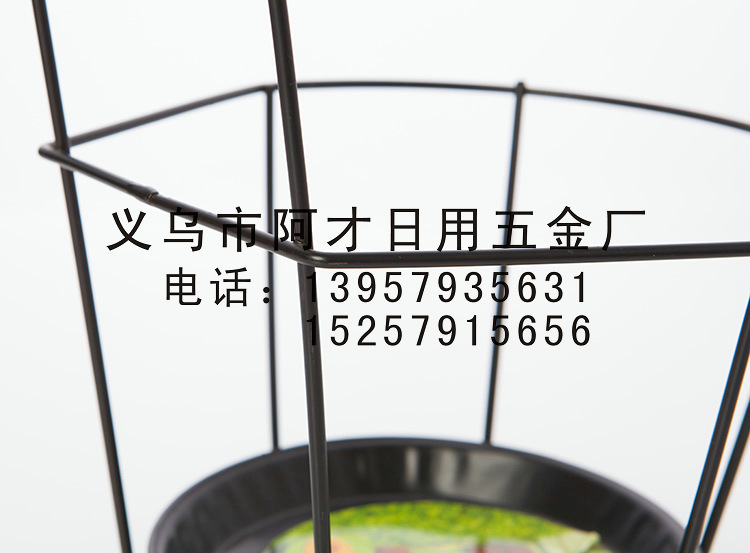 欧式铁艺圆形花盆架 阳台栏壁挂式花架 新款花架 简约时尚细节图