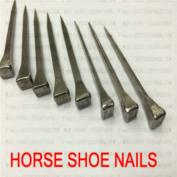 马蹄钉house nail镀锌铁板钉子钢钉马掌钉