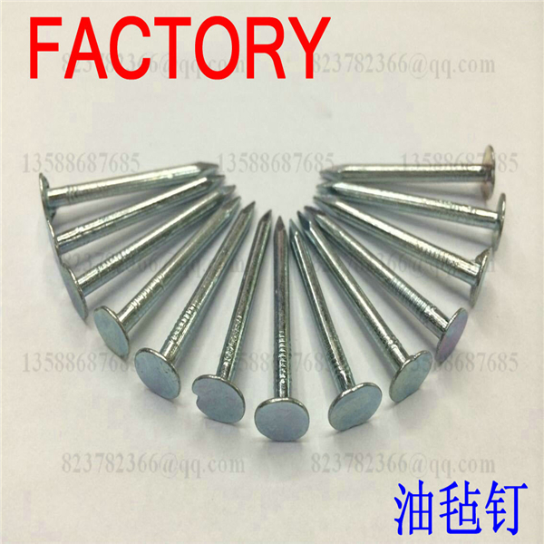 Linoleum nail manufacturers direct supply big cap galvanized iron nail full figure