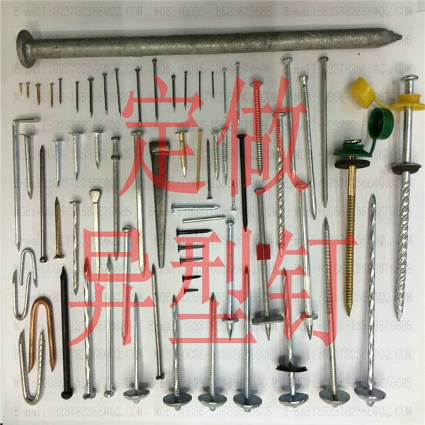 Special-shaped nail special-shaped nail special-purpose nail manufacturers custom-made nails