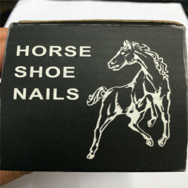 Horse shoe nails