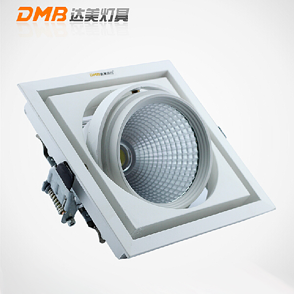 LED射灯模组实物图