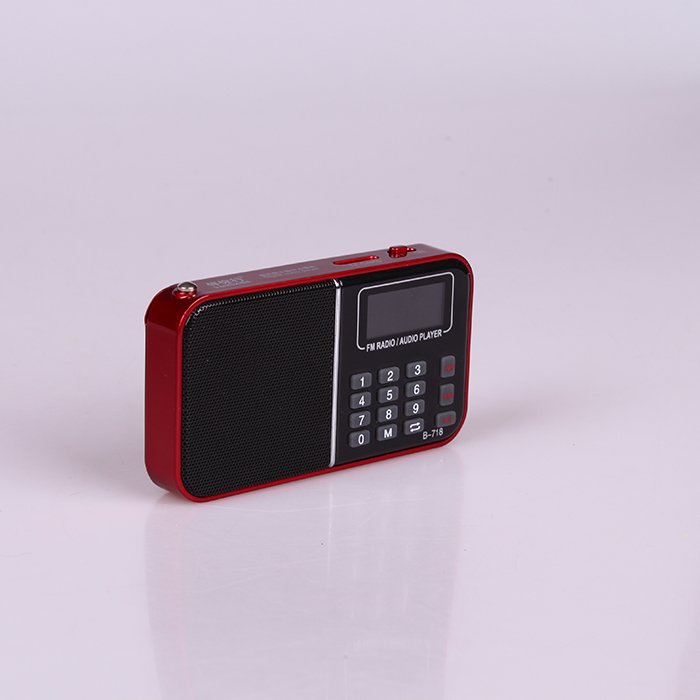 Accompanying You on a Journey with optional digital display small speaker B-718 Specification image