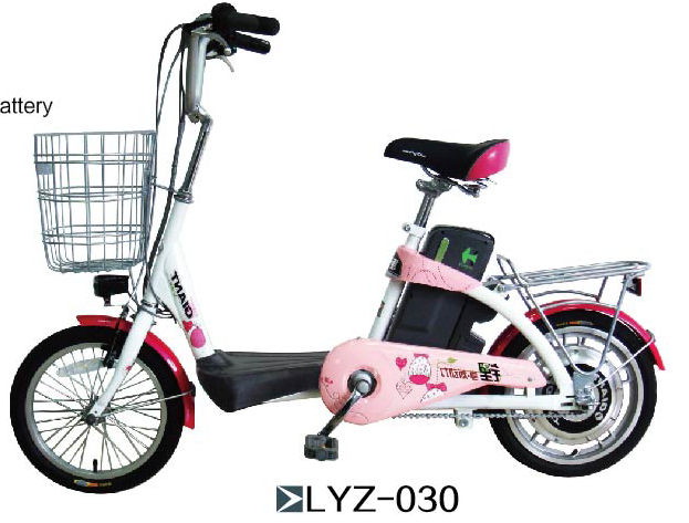 Lyz-030 16 "48V lithium battery lithium bicycle full figure