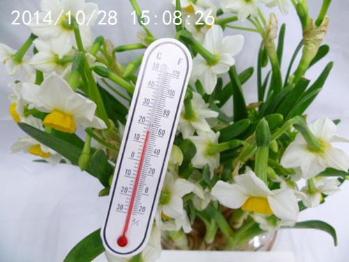 Factory direct sales of paper small thermometers, cartoon fish tanks, glass thermometer accessories Application Scenario
