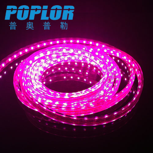 LED柔性RGB灯带 5050三芯彩色软灯条高压220V一米60珠高亮防水8MM