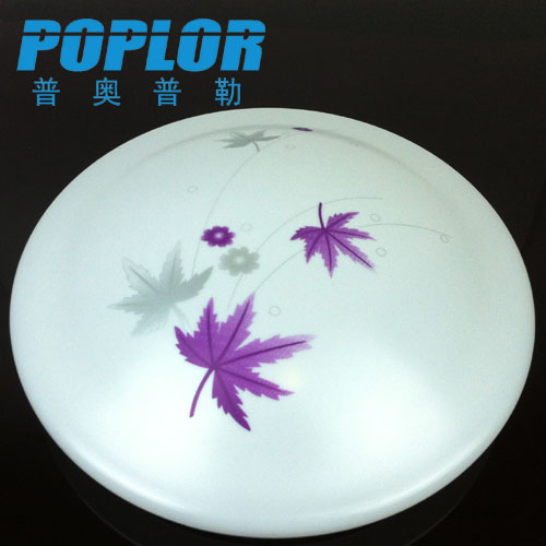 18W LED ceiling light acoustic light control induction balcony ceiling light round acrylic