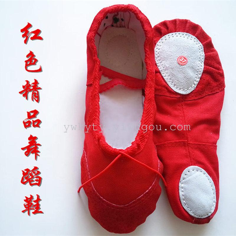 Children's Cat's Claw Ballet Shoes Front Show