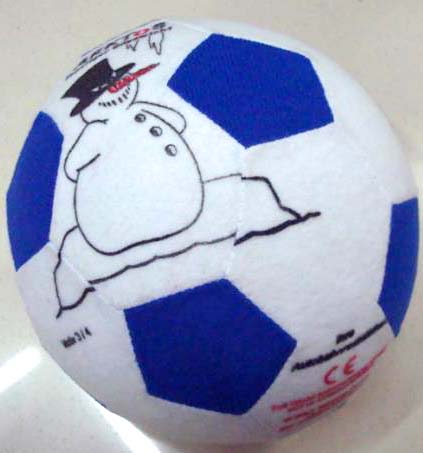 55cm fabric ball/Fabric ball/smooth fabric ball/printed fabric ball/national flag ball/Toy ball