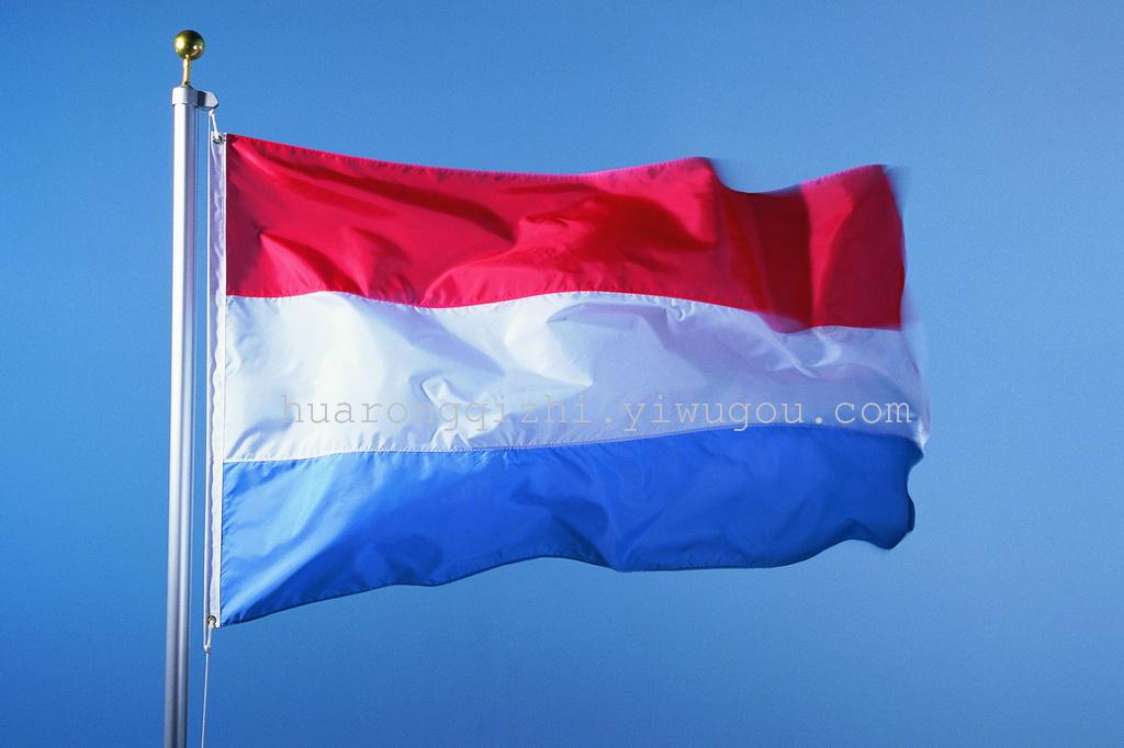 定做 国旗 国家旗帜细节图