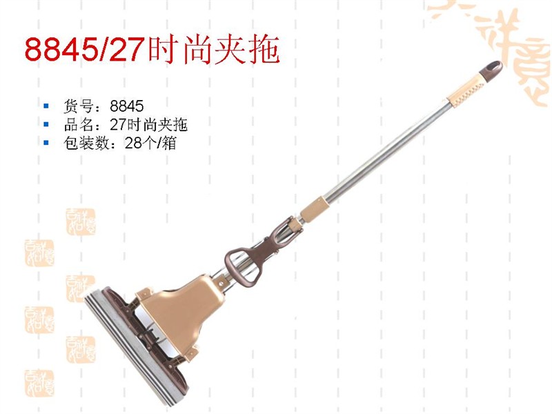 8845 Fashion mop thumbnail
