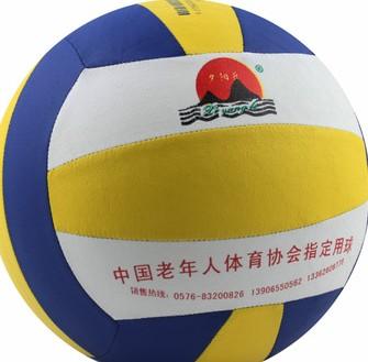 夕阳乐 老年人气排球 娱乐休闲首选 专利产品