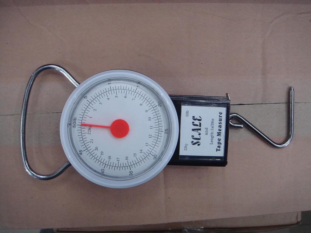 Mechanical pointer hand-held hook portable spring scale gift small scale pull rod spring kilogram hanging scale 22 kilograms