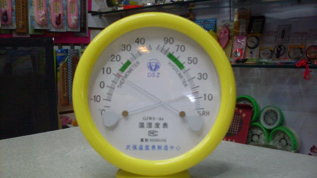 丛理仪表 室内外温湿度计 塑料 A4型