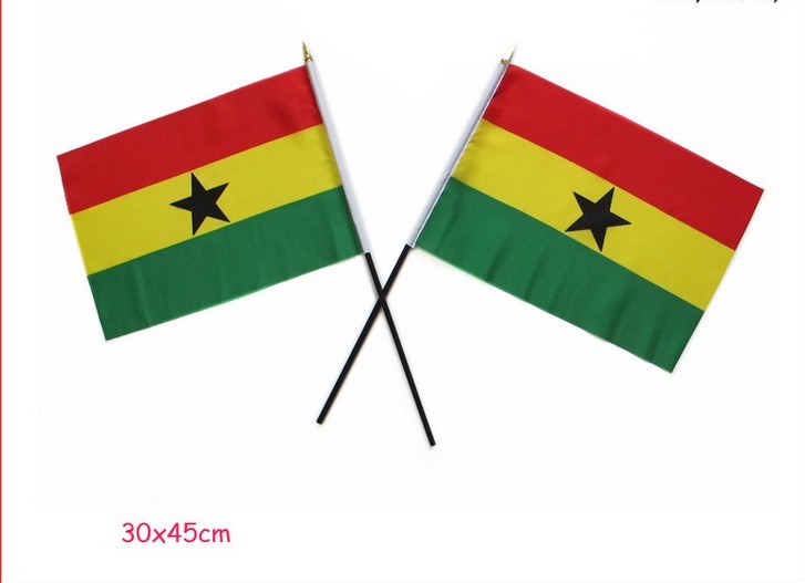 20x30cm国家象征旗 小型国旗 国际活动用旗 手摇旗