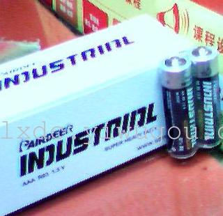 英文版双鹿电池