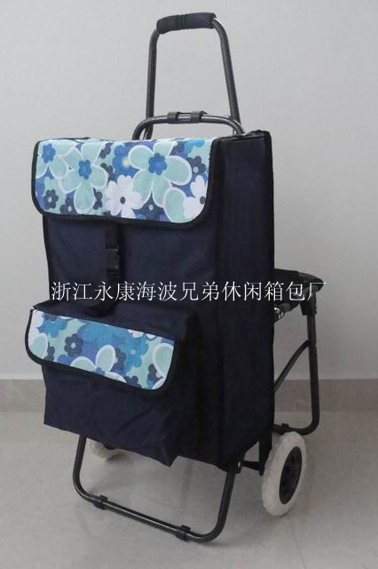 防水购物车简单方便折叠购物车款式多样中老年人购物车产品图