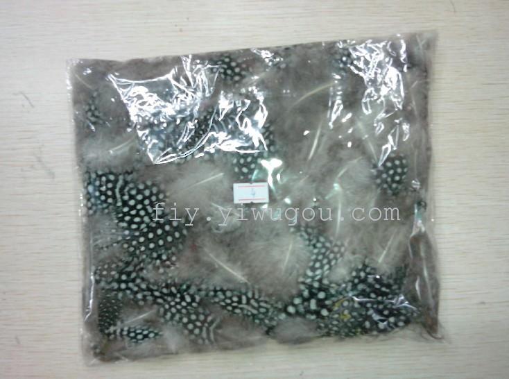 Supply Chicken Feathers Wholesale Natural Natural Feather Feather Wholesale Pearl Feather details Picture