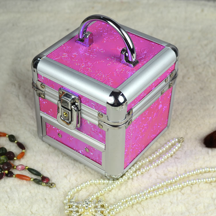 Guanyu spot wholesale cosmetics boxes handbag travel special aluminum makeup boxes special special offer