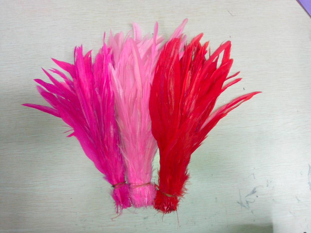 白色公鸡尾毛30-35CM黑色 头饰配件羽毛 可以染色细节图