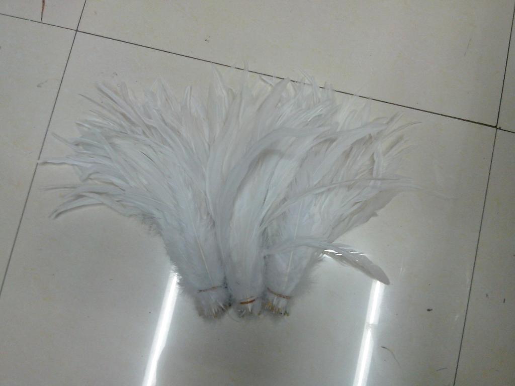 白色公鸡尾毛30-35CM黑色 头饰配件羽毛 可以染色