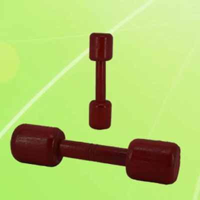 Mall Authentic/Children's Fitness Jumping Games Play Toys/Wooden Dumbbells