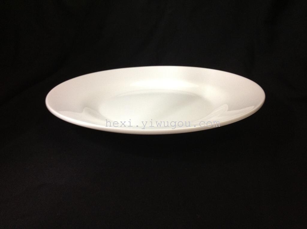 Amine flat plate 2108