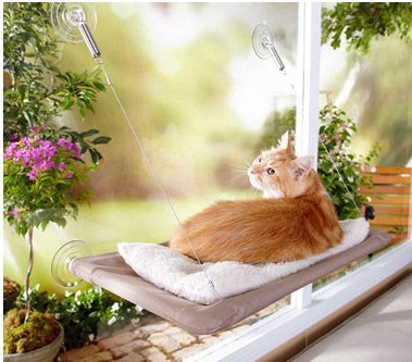Cat hammock/pet bed/pet nest/pet hammock, cat suction cup hammock