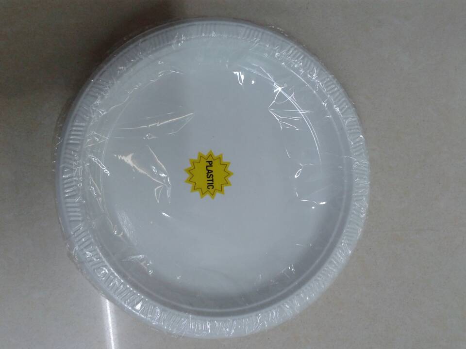 9 Inch Disposable Plate