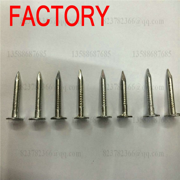 Large flat cap galvanized linoleum nail large cap nail