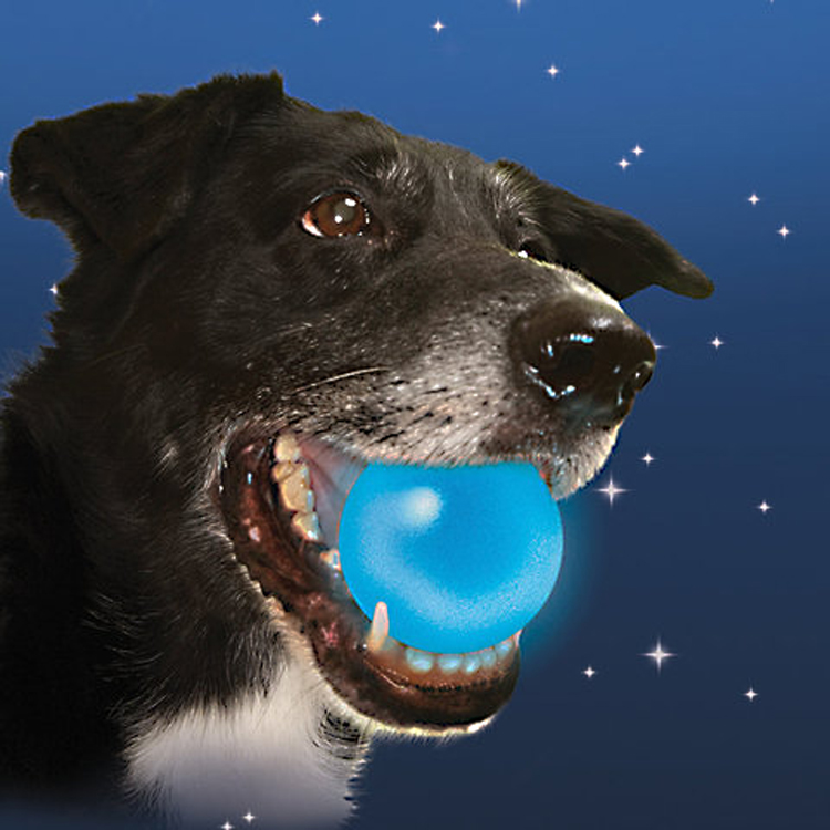 LED防水发光宠物用品狗狗流星球弹力球详情图1