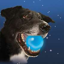 LED防水发光宠物用品狗狗流星球弹力球