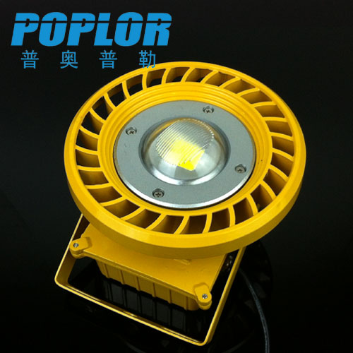 20W LED explosion-proof light Gas station light warehouse factory light Industrial dancing lamp explosion-proof light
