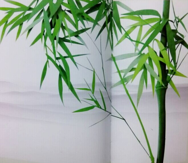 鞋子收纳架/盒实物图