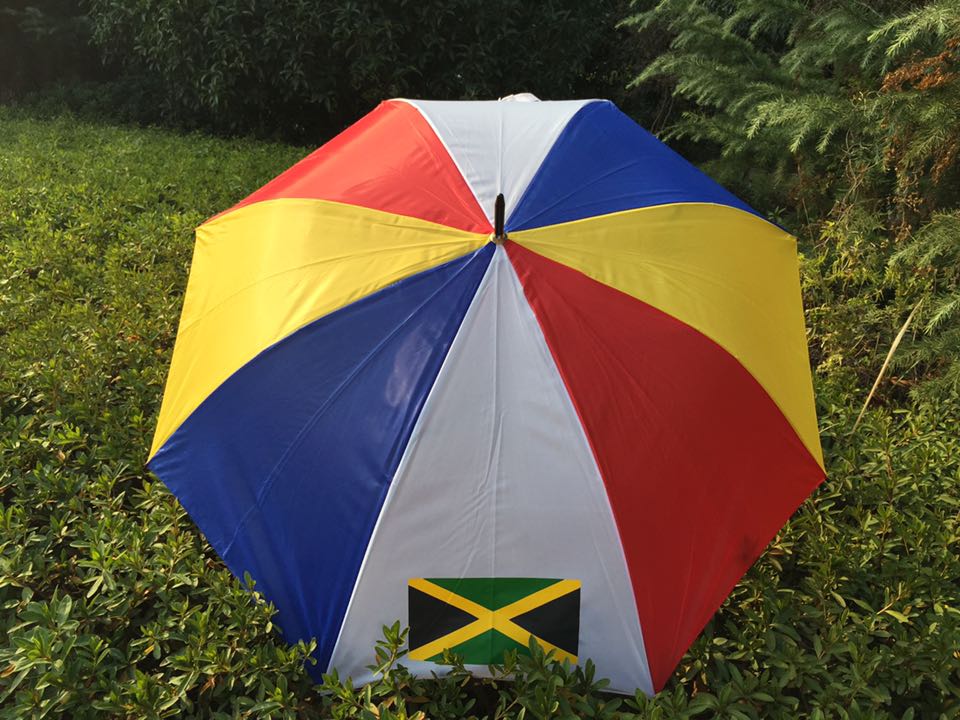 Custom-made 70 cm premium watermelon rind rainbow-colored national flag advertising umbrella for export Specification image