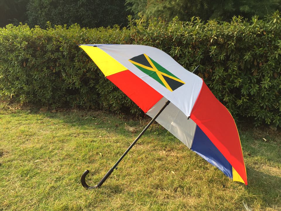Custom-made 70 cm premium watermelon rind rainbow-colored national flag advertising umbrella for export