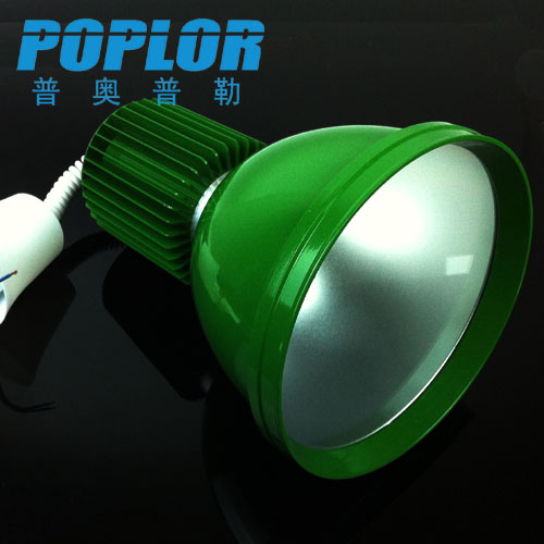 20W LED生鲜灯 超市水果灯蔬菜灯商场猪肉灯熟食灯海鲜灯