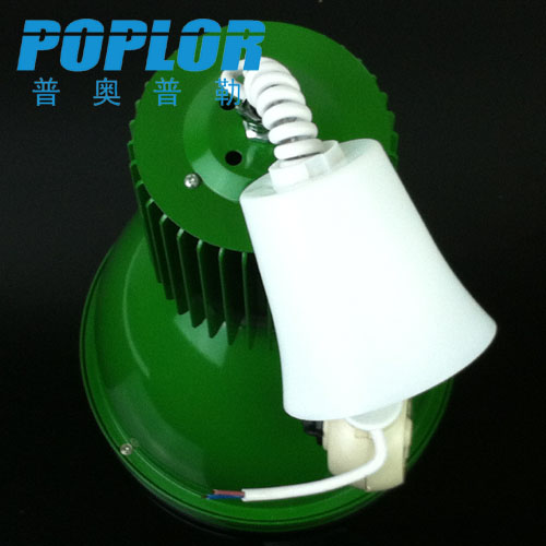 20W LED生鲜灯 超市水果灯蔬菜灯商场猪肉灯熟食灯海鲜灯细节图